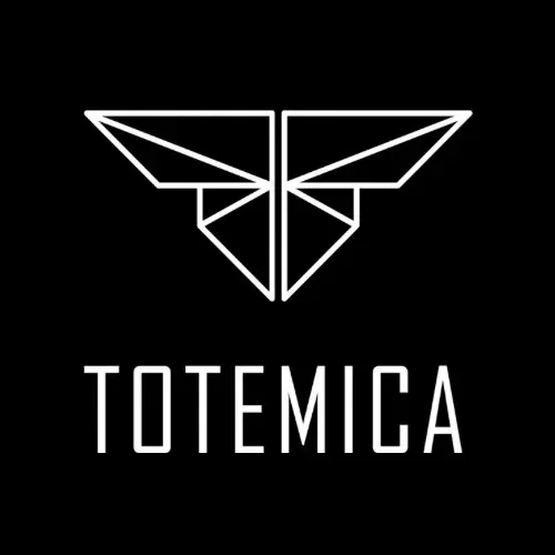 Логотип Totemica